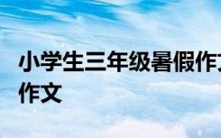 小学生三年级暑假作文4篇 小学生三年级暑假作文