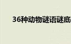 36种动物谜语谜底破解 36种动物谜语