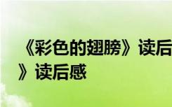 《彩色的翅膀》读后感。20字 《彩色的翅膀》读后感