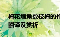 梅花墙角数枝梅的作者 《梅花墙角数枝梅》翻译及赏析