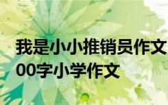 我是小小推销员作文500字 我是小小推销员200字小学作文