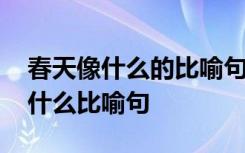 春天像什么的比喻句赞美春天 经典的春天像什么比喻句