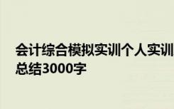 会计综合模拟实训个人实训总结1000字 会计综合模拟实训总结3000字