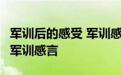 军训后的感受 军训感言怎么写 军训后的感受 军训感言