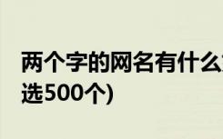 两个字的网名有什么好听的 两个字的网名(精选500个)