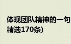 体现团队精神的一句话 体现团队精神的口号(精选170条)