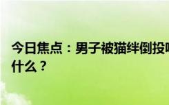 今日焦点：男子被猫绊倒投喂者赔24万案再审，具体情况是什么？