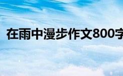 在雨中漫步作文800字 在雨中漫步初中作文