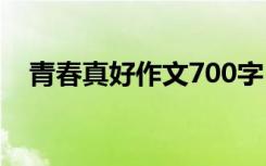 青春真好作文700字 青春真好作文750字