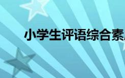 小学生评语综合素质评价 小学生评语