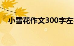 小雪花作文300字左右 小雪花作文600字