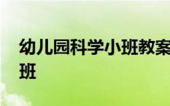 幼儿园科学小班教案大全 科学幼儿园教案小班