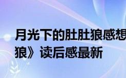 月光下的肚肚狼感想和总结 《月光下的肚肚狼》读后感最新