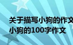 关于描写小狗的作文100字三年级作文 描写小狗的100字作文