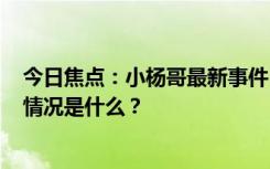 今日焦点：小杨哥最新事件!2024亲自发端午节福利，具体情况是什么？