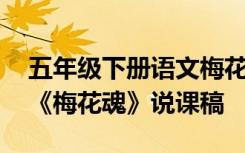 五年级下册语文梅花魂原文 五年级语文上册《梅花魂》说课稿