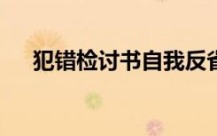 犯错检讨书自我反省300字 犯错检讨书