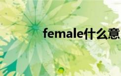 female什么意 female的意思