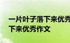 一片叶子落下来优秀作文600字 一片叶子落下来优秀作文