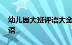 幼儿园大班评语大全简短一点 幼儿园大班评语