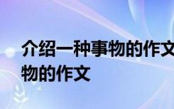 介绍一种事物的作文300字左右 介绍一种事物的作文