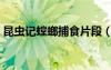 昆虫记螳螂捕食片段（昆虫记螳螂捕食赏析）