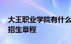 大王职业学院有什么专业 山东大王职业学院招生章程