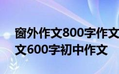 窗外作文800字作文初中 初二作文：窗外作文600字初中作文