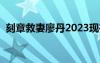 刻章救妻廖丹2023现在怎么样（刻章救妻）