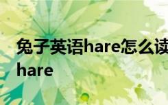 兔子英语hare怎么读 兔子怎么写英语怎么写hare