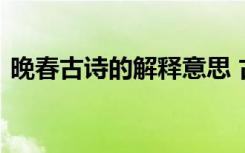 晚春古诗的解释意思 古诗晚春的意思是什么