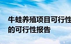 牛蛙养殖项目可行性研究报告范文 青蛙养殖的可行性报告