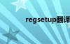 regsetup翻译（setup翻译）