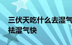 三伏天吃什么去湿气寒气窍门 三伏天吃什么祛湿气快