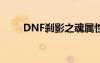 DNF刹影之魂属性（dnf刹影之魂）