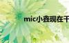 mic小鑫现在干啥（mic小鑫）