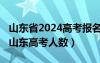 山东省2024高考报名网站入口官网（2013年山东高考人数）