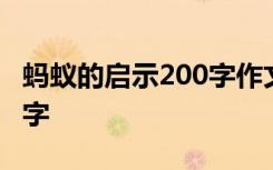 蚂蚁的启示200字作文 蚂蚁的启示的作文400字