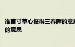 谁言寸草心报得三春晖的意思和感悟 谁言寸草心报得三春晖的意思