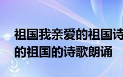 祖国我亲爱的祖国诗歌朗诵视频 祖国我亲爱的祖国的诗歌朗诵