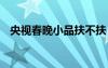 央视春晚小品扶不扶 春晚小品扶不扶台词