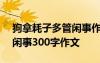 狗拿耗子多管闲事作文100字 狗拿耗子多管闲事300字作文