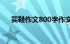 买鞋作文800字作文 买鞋子作文600字