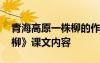 青海高原一株柳的作者是谁 《青海高原一株柳》课文内容