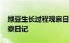 绿豆生长过程观察日记视频 绿豆生长过程观察日记