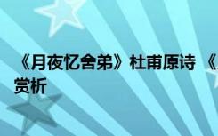 《月夜忆舍弟》杜甫原诗 《月夜忆舍弟》杜甫唐诗注释翻译赏析