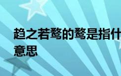 趋之若鹜的鹜是指什么鸟 趋之若鹜的鹜什么意思