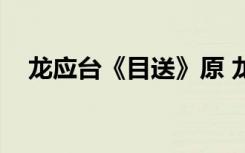 龙应台《目送》原 龙应台的散文《目送》