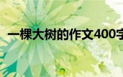 一棵大树的作文400字 一棵大树400字作文