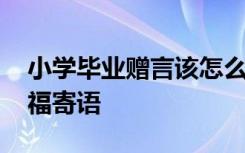 小学毕业赠言该怎么写 小学毕业赠言真诚祝福寄语